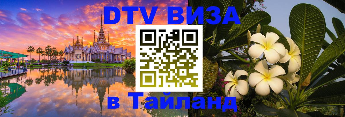 Оформление DTV визы под ключ: стоимость и тарифы, только загранпаспорт - Сана  20.11.2025 